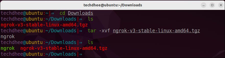 Extract Ngrok file in Ubuntu
