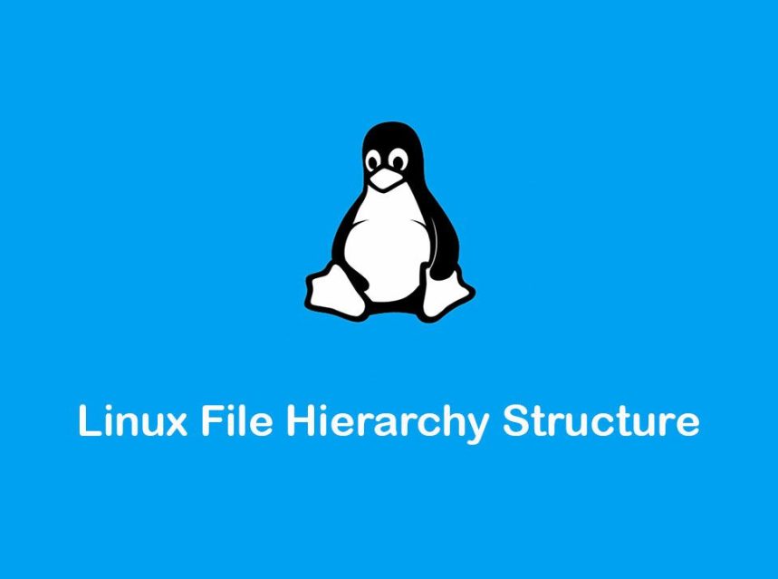 Linux File Hierarchy Structure TECH DHEE