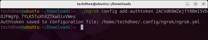 Install Ngrok on Ubuntu 22.04 LTS