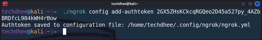 Install Ngrok on Kali Linux