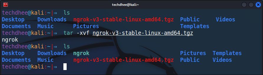 Install Ngrok on Kali Linux